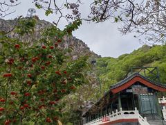 -京东石林峡风景区