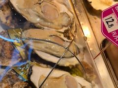 -赶海部落海鲜城(海阳路店)