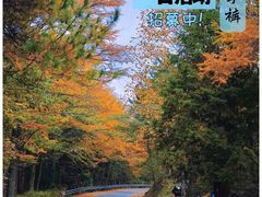-四明山国家森林公园