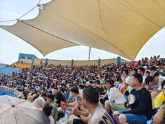 -秦皇岛乐岛海洋王国