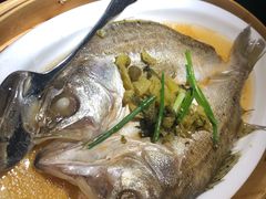 -金牌外婆家(苏州中心店)