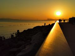 -深圳湾公园(南山区)