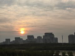 -碧海金沙