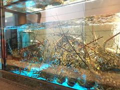 -海都六福酒家(世博广场店)