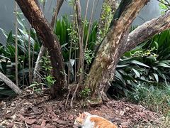 -湖南省立第一师范学校旧址