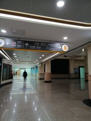 -上海交通大学医学院附属上海儿童医学中心(陆家嘴总院区)