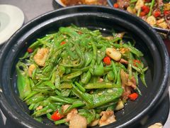 -麻都·成都菜(人民广场店)