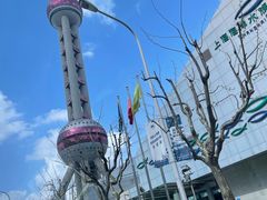 -上海海洋水族馆