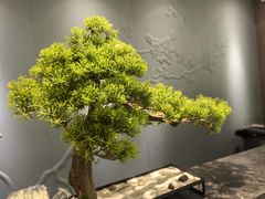 -华夏良子·足道SPA艾灸(铁道大厦店)