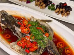 -陈麻婆豆腐(旗舰店)