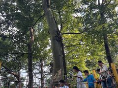 -杭州少年儿童公园