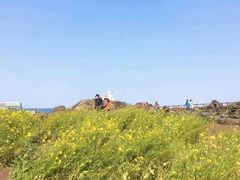 -涉地可支