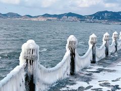 -养马岛旅游度假区
