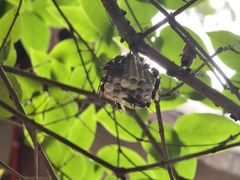 -东南悬空寺方广岩