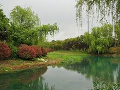 -贡湖湾湿地公园