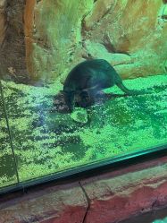 -Zoolung Zoolung动物主题公园(海信广场店)