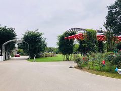 -鹅湖玫瑰文化园