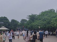 -秦始皇兵马俑博物馆-停车场