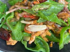 -蘑统田下·野生菌火锅