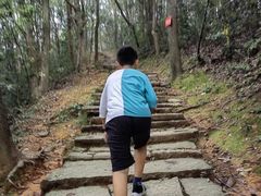-西湖风景区十里琅珰-五云山