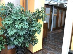 -正安中医(广渠店)
