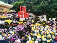 -西湖公园(鼓楼区)