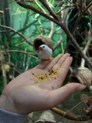 -Zoolung Zoolung动物主题公园(海信广场店)