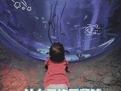 -沈阳海洋探索中心