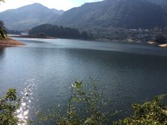 -广州市流溪河国家森林公园