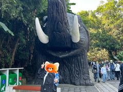 -野象谷景区