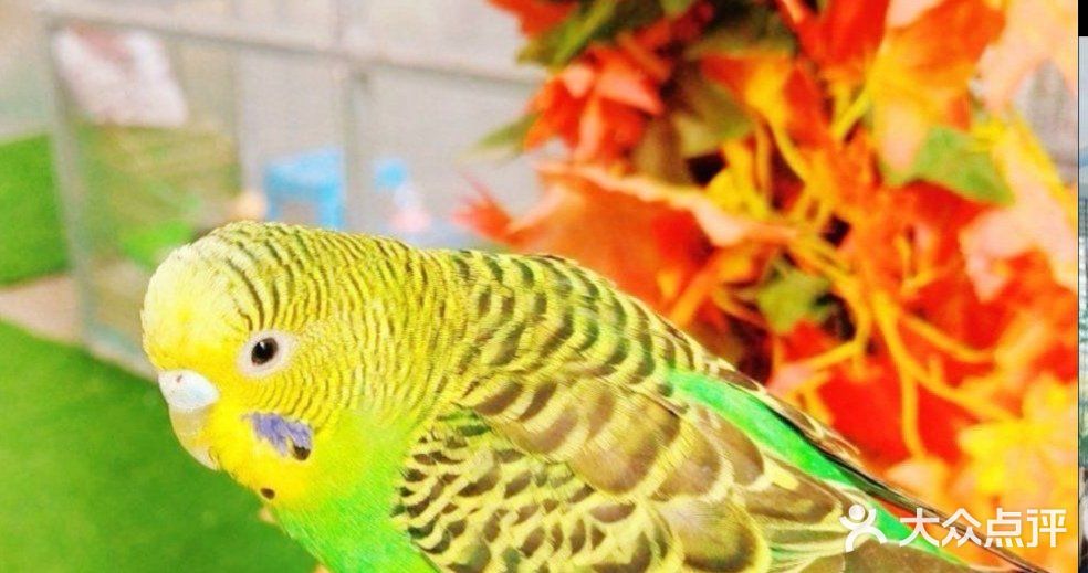 北京遛娃哪里去❓万达亲子动物园[调皮]带给娃不一样的欢乐[胜利]