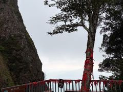 -七仙岭温泉国家森林公园