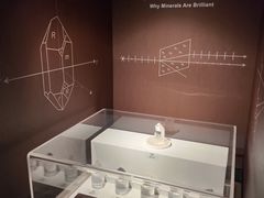 -正佳自然科学博物馆