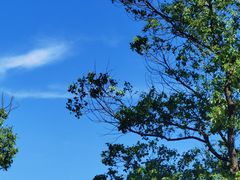 -东钱湖旅游度假区