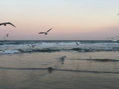 -黄金海岸