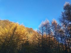 -秦岭风景区