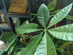 -湘当爱·鲜煮现炒(松岗立业路店)