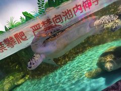 -石家庄海洋公园