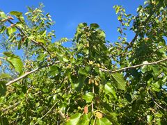 -白水寺森林公园