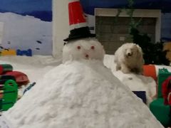 -绍兴启迪乔波冰雪世界