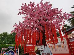 -成都欢乐谷