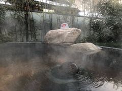 -溧阳天目湖天沐温泉