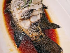 -碧丽宫大酒店(召稼楼店)