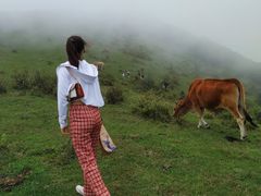 -大姆山草场