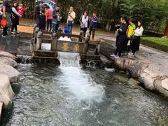 -百脉泉景区