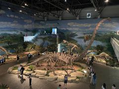 -自贡恐龙博物馆