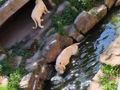 -宁波野生动物园