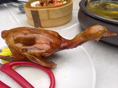 -有腥气私房菜·寻味顺德