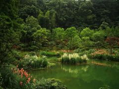 -缙云山景区