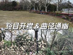 -中山公园